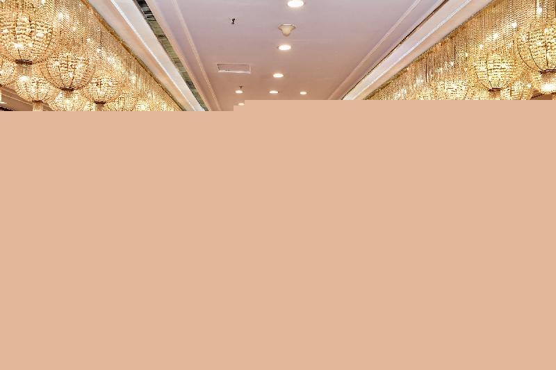 湖南省政府新闻办召开全省“两重”“两新”送解优专项行动新闻发布会